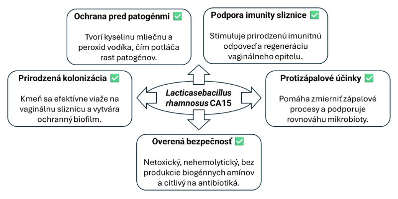 Schéma znázorňujúca účinky probiotického kmeňa Lacticasebacillus rhamnosus CA15 na vaginálny mikrobióm a ženské zdravie